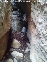 Cueva del Yedrón. 