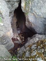 Cueva del Yedrón. Parte alta