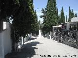 Cementerio de Jamilena. 