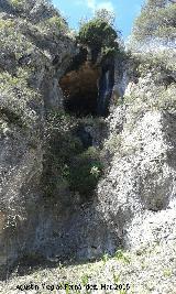 Cueva de la Rinconada de los Acebuches. 