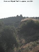 Cerro Hocecilla. 