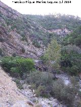 Puente de los Caracolillos. 