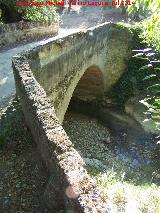 Puente del Caamares. 