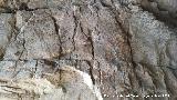 Cueva Oeste del Canjorro. Paredes rocosas