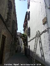 Calle Castillo. 