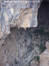 Cueva de las Palomas. Estalactitas