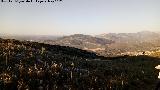 Caada Real Los Villares La Guardia. Vistas hacia el Cerro de San Cristbal