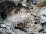 Pinturas rupestres de la Cueva de la Graja-Grupo VIII. Grupo