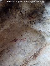 Pinturas rupestres de la Cueva de la Graja-Grupo IV. Panel