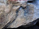 Pinturas rupestres de la Cueva de la Graja-Grupo X. Figura de puntes y pectiniforme grande