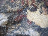 Pinturas rupestres de la Cueva de la Graja-Grupo IX. Cabra