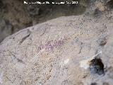 Pinturas rupestres de la Cueva de la Graja-Grupo XIII. Barra horizontal