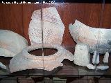 Museo de Jdar. Cermicas y pesas de telar ibricas
