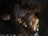 Cueva del Peinero. 