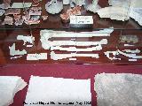 Los Pinares. Restos humanos encontrados en la necrpolis de Los Pinares