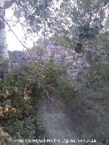 Ruinas del Portichuelo. 
