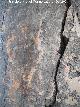 Pinturas rupestres de la Piedra Granadina I