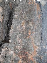 Pinturas rupestres de la Piedra Granadina I. Parte alta del panel