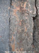 Pinturas rupestres de la Piedra Granadina I. Parte baja del panel
