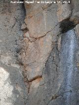 Pinturas rupestres de la Piedra Granadina I. Segundo panel