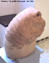 Cstulo. Cabeza de len ibrica. Museo Arqueolgico de Linares