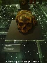 Museo de Antropologa. Cabeza momificada egipcia