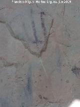 Pinturas rupestres del Poyo del Medio de la Cimbarra V. 