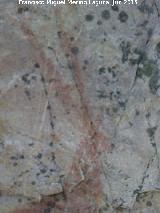 Pinturas rupestres del Prado del Azogue. Grupo II. Cabeza de la cabra o ciervo inferior