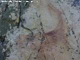 Pinturas rupestres del Prado del Azogue. Grupo II. Cabra o ciervo superior