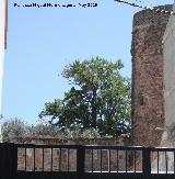 Castillo de Linares. 
