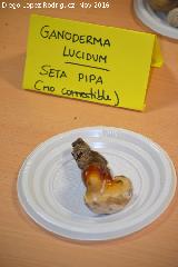 Pipa - Ganoderma lucidum. Navas de San Juan