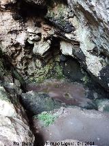 Cueva del Tocino. Interior
