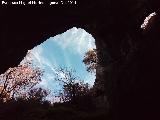 Cueva del Tocino. Aberturas al exterior