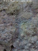 Pintura rupestre de la Cueva del Tocino. 