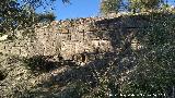 Fortn romano del Cerro Abejcar. 