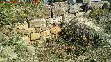 Fortn ibero romano del Cerro Cantarero. Muralla