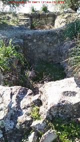 Fortn ibero romano del Cerro Cantarero. Habitculos