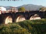 Puente de Martos. 
