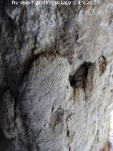 Cuevas Piquita. Cueva XIV. 
