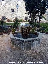 Fuente del Palacio del Castillo. 