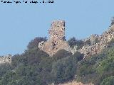 Castillo de Torre Alver. 