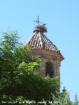 Iglesia de San Juan Bautista. Cigea sobre la torre