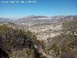 Cerro Mercadillo. Vistas de Pegalajar