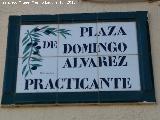 Plaza Domingo lvarez. Placa de Isabel Laguna Lpez