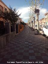Avenida de Andaluca. 
