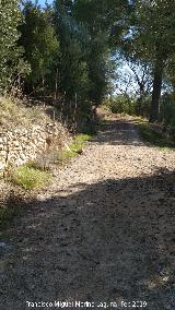 Casera Solana. Camino de la Solana
