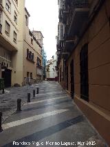 Calle Pedro de Toledo. 
