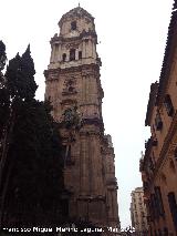 Catedral de Málaga. Campanario