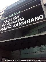 Estación María Zambrano. 