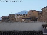 Castillo de las Peuelas. Los dos torreones circulares de su muralla